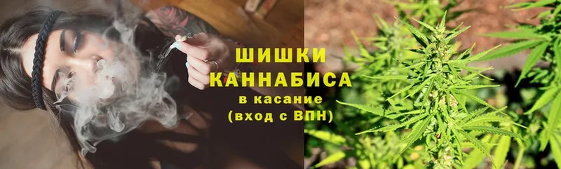 закладки  Высоковск  Бошки марихуана Amnesia 